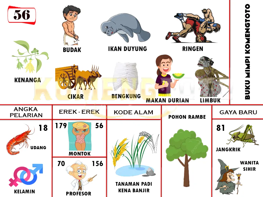 buku mimpi erek erek togel 56